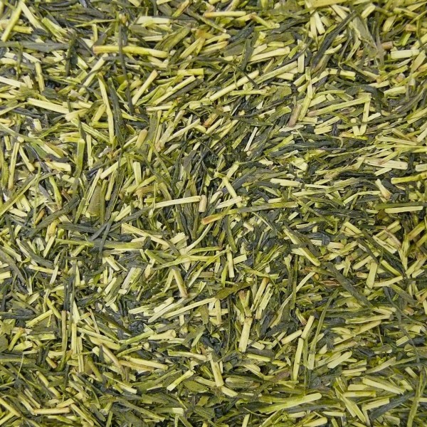 Grüner Tee Japan Kukicha