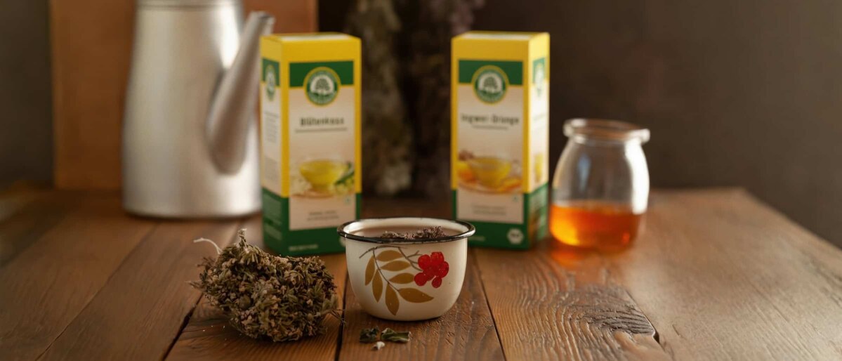 Lebensbaum BIO-Tee – ausgewählte Bio-Tees im...