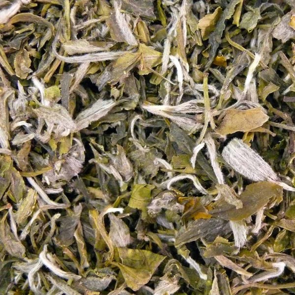 China Spezial weißer Tee China Snow Buds