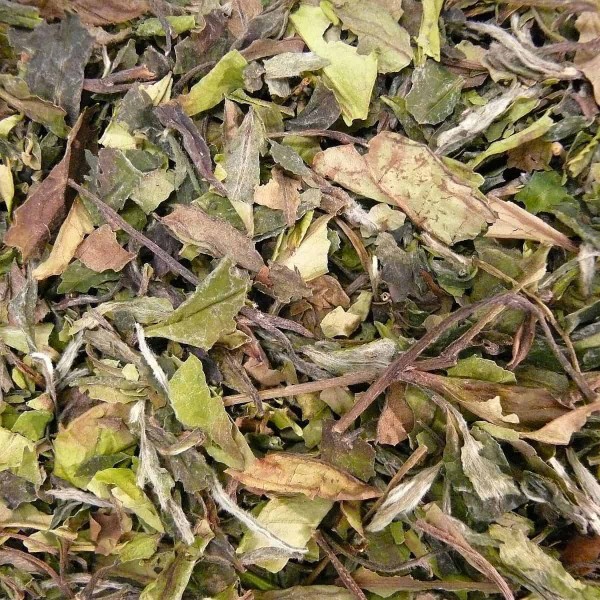 Weißer Tee China Pai Mu Tan BIO