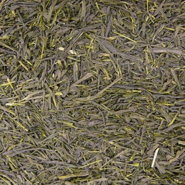 Grüner Tee Japan Sencha Yamato