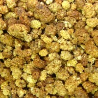 Maulbeeren BIO, naturbelassen, getrocknet