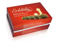Geschenk-Set Holzbox Erblüh Weißer Tee
