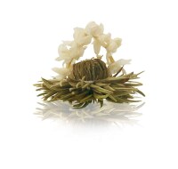 Geschenk-Set Holzbox Erblüh Weißer Tee