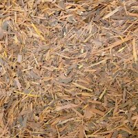 Lapacho / Baumrinden-Tee Natur