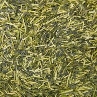 Grüner Tee Japan Kukicha BIO