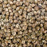 Jasmin Dragon Phoenix Pearls BIO