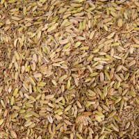 Kindertee Kräutertee Fenchel Anis Kümmel