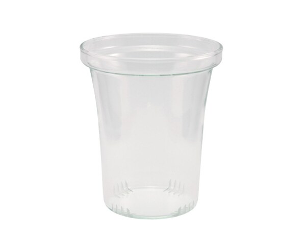Glas-Sieb für Trendglas Jena