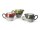 Cha Cult Teekanne "Saara" Reaktive Glaze 0,5l - 3 Farben
