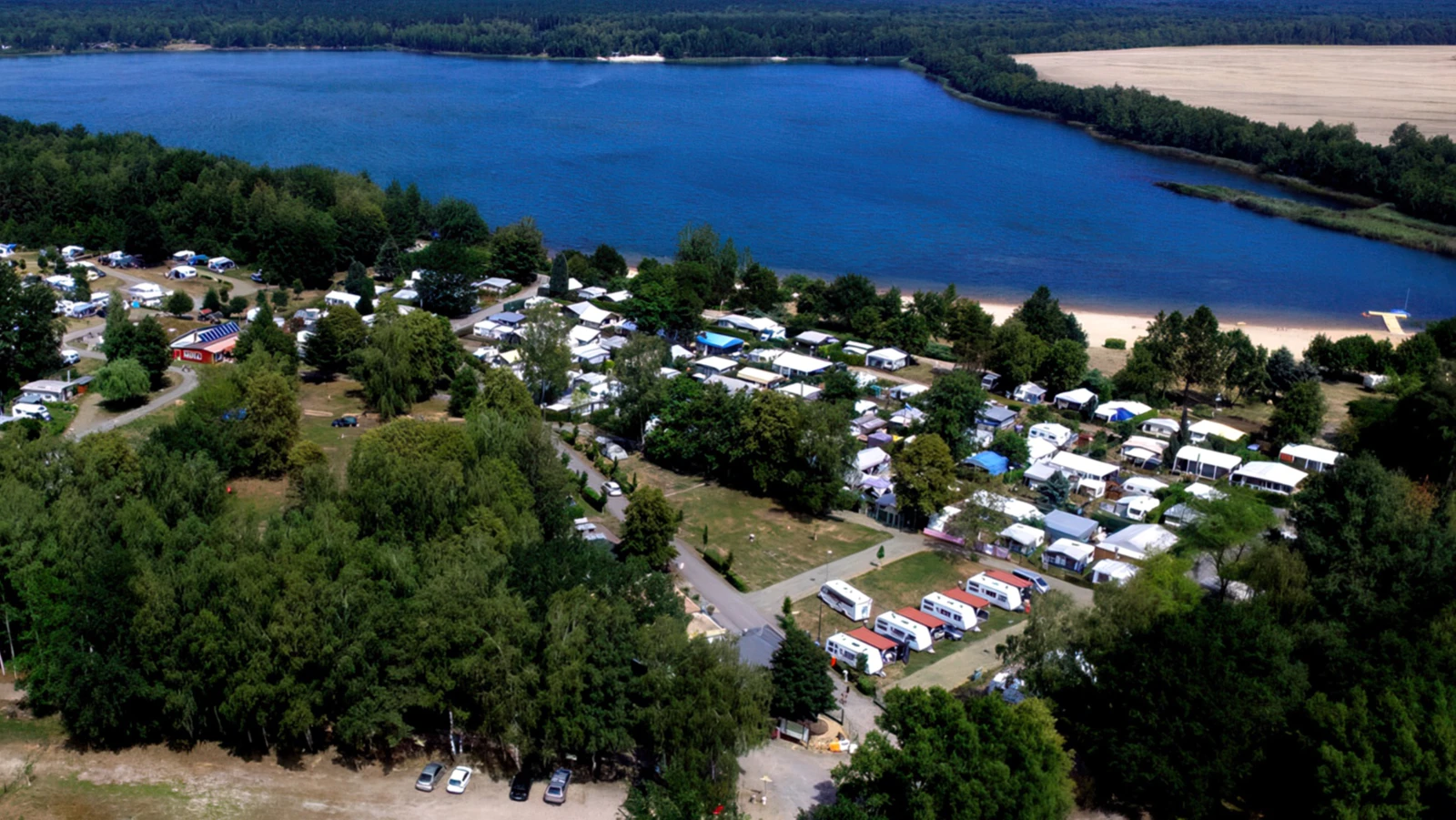 Partnerbanner - Themencamping Grünewalder Lauch